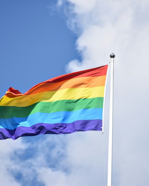 LGBTQIA+ significato: cosa vuol dire ogni lettera della sigla