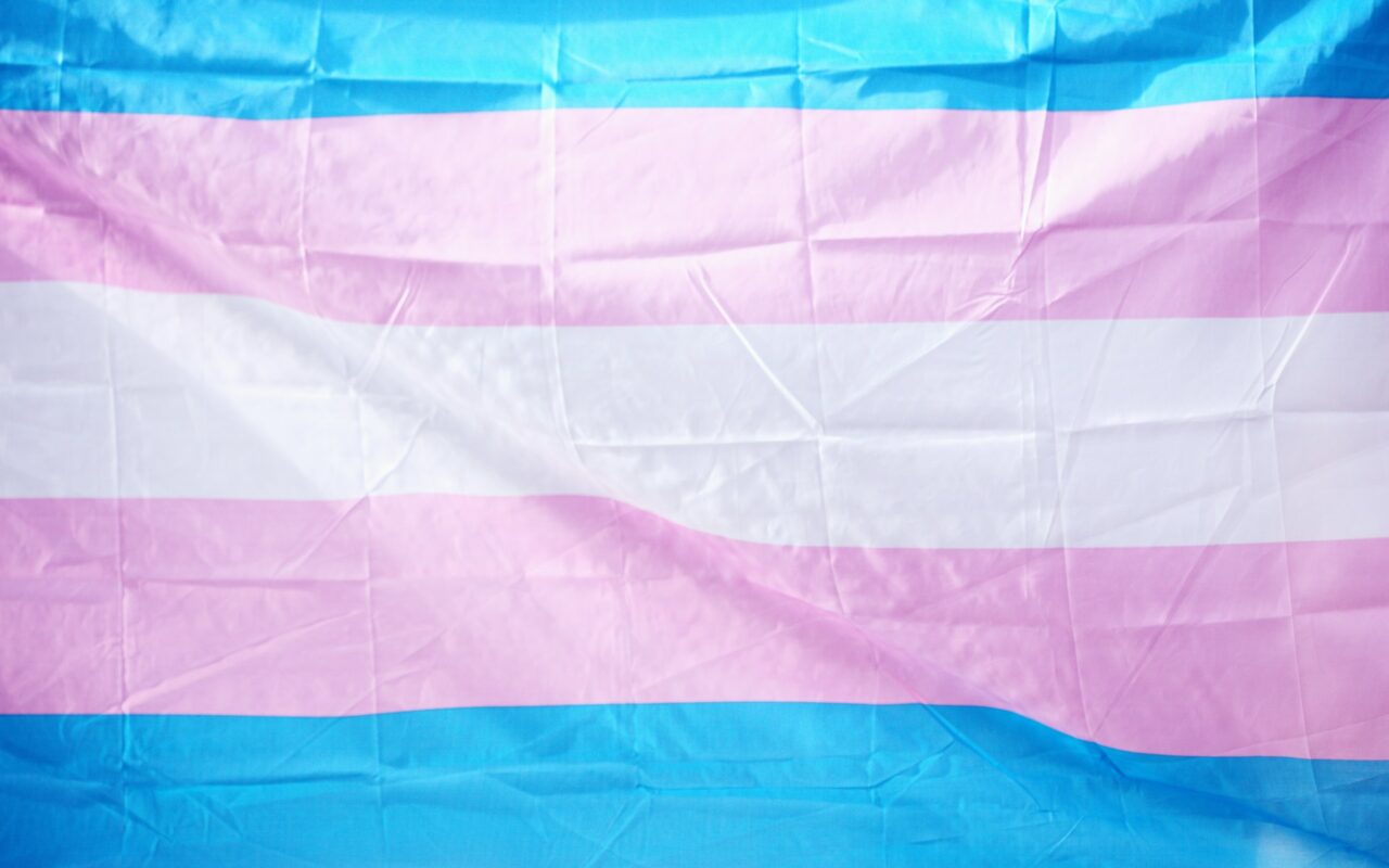 La bandiera transgender a strisce azzurre, rosa e bianche che sventola contro il cielo
